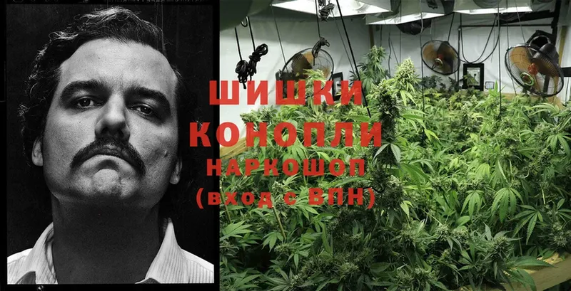 закладка  Кувшиново  mega рабочий сайт  Конопля LSD WEED 